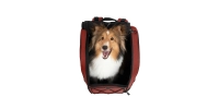 Plecak Champion Large Dog Jet Maroon
